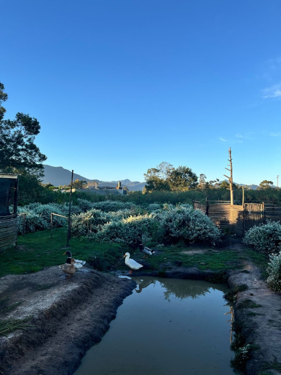  Bedroom Property for Sale in The Crags Western Cape